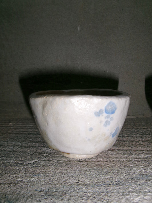 Amper X Muni Chawan Spring 3